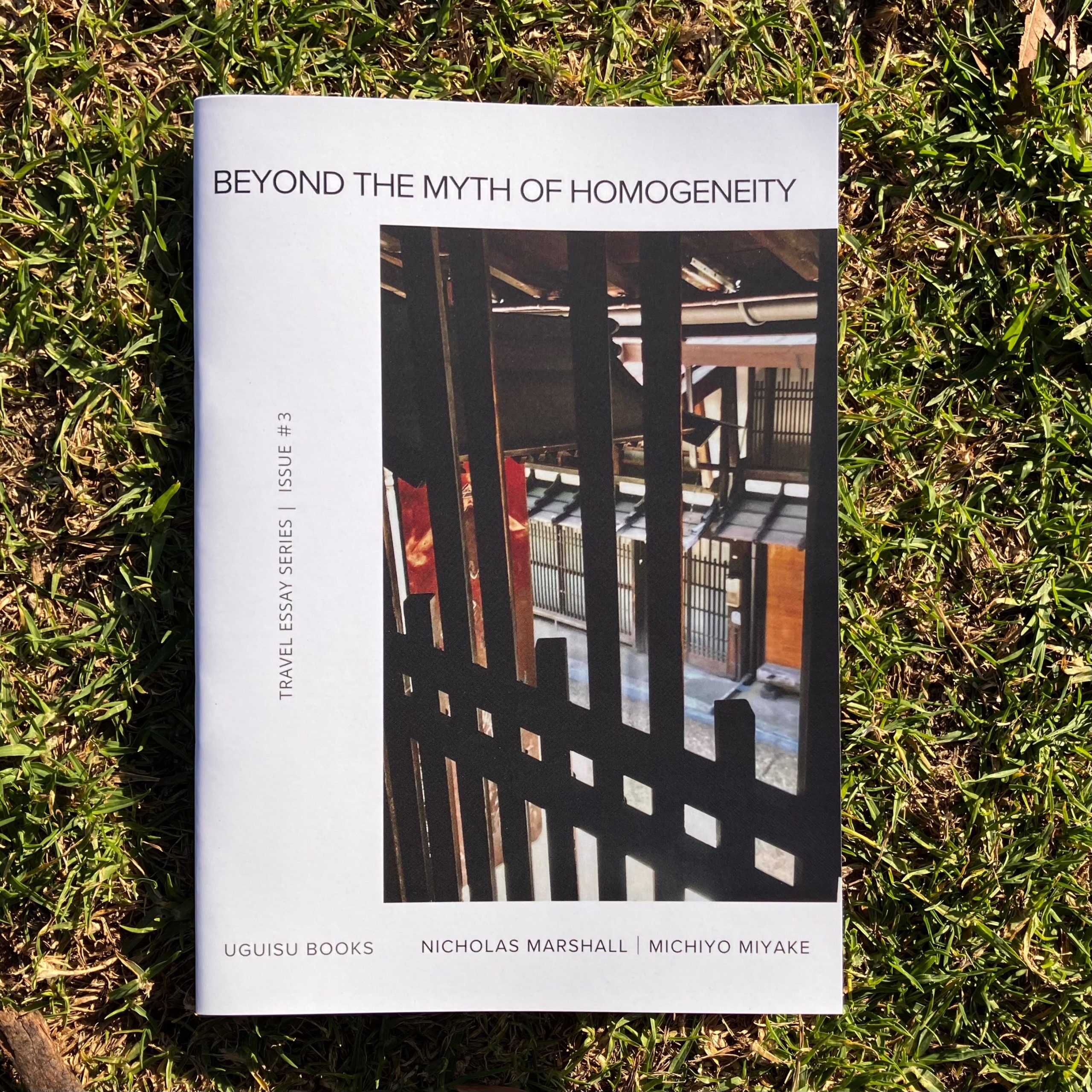 Beyond the Myth of Homogeneity front cover