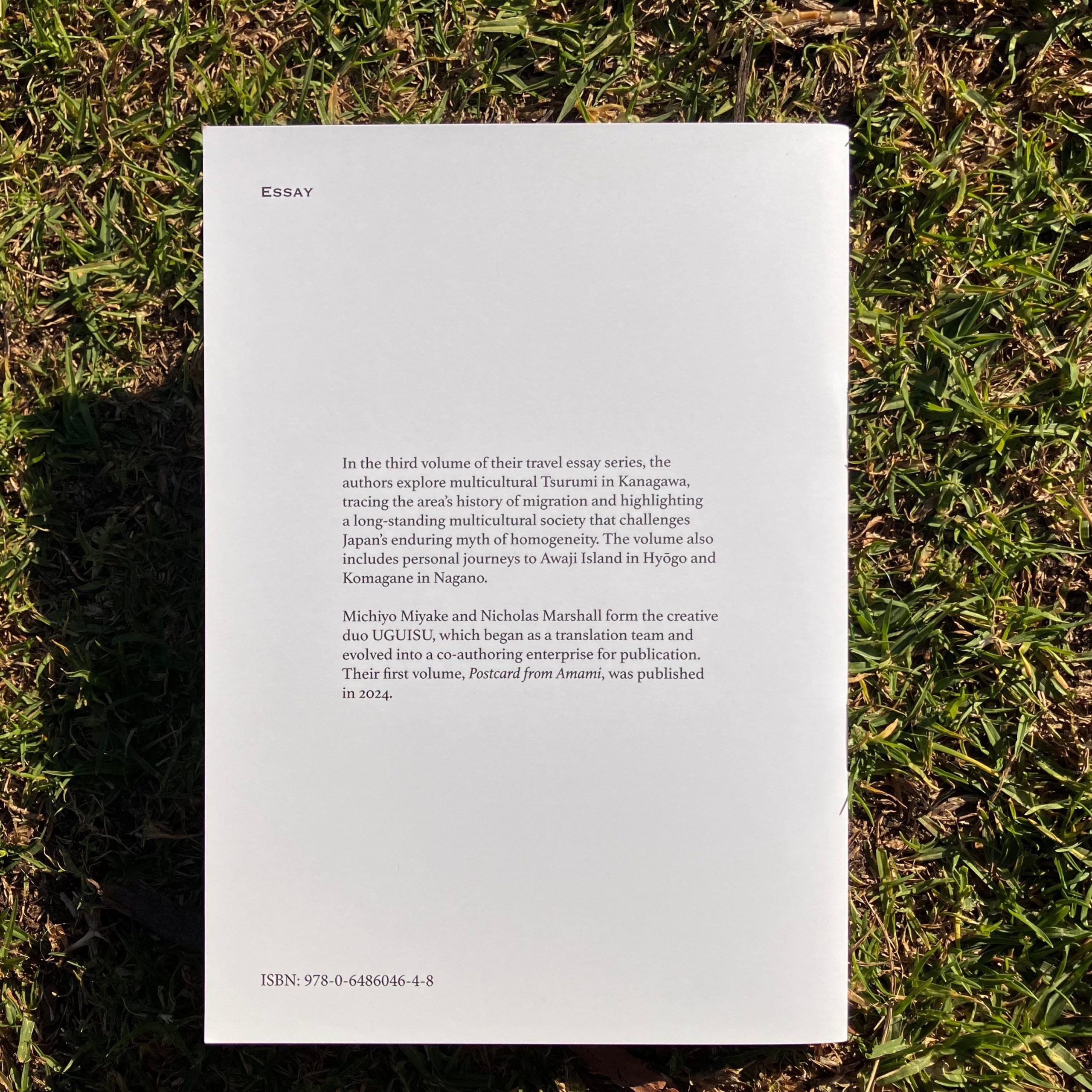 Beyond the Myth of Homogeneity back cover