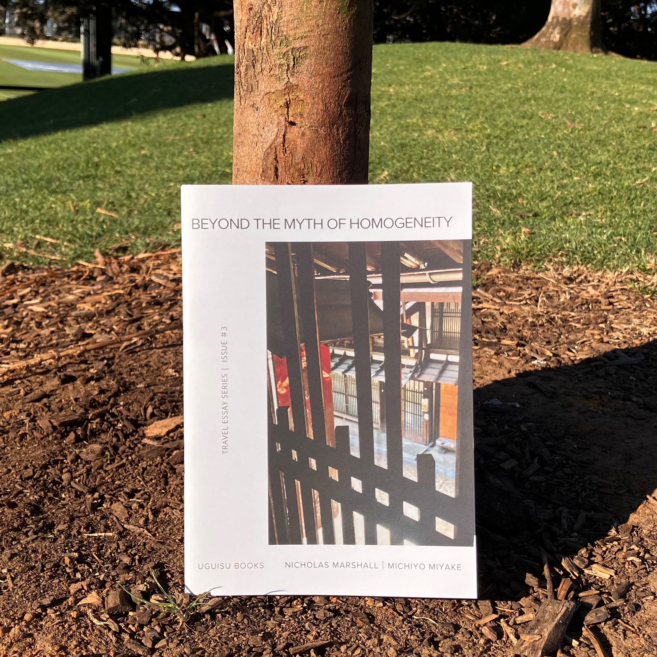 Beyond the Myth of Homogeneity held against a tree