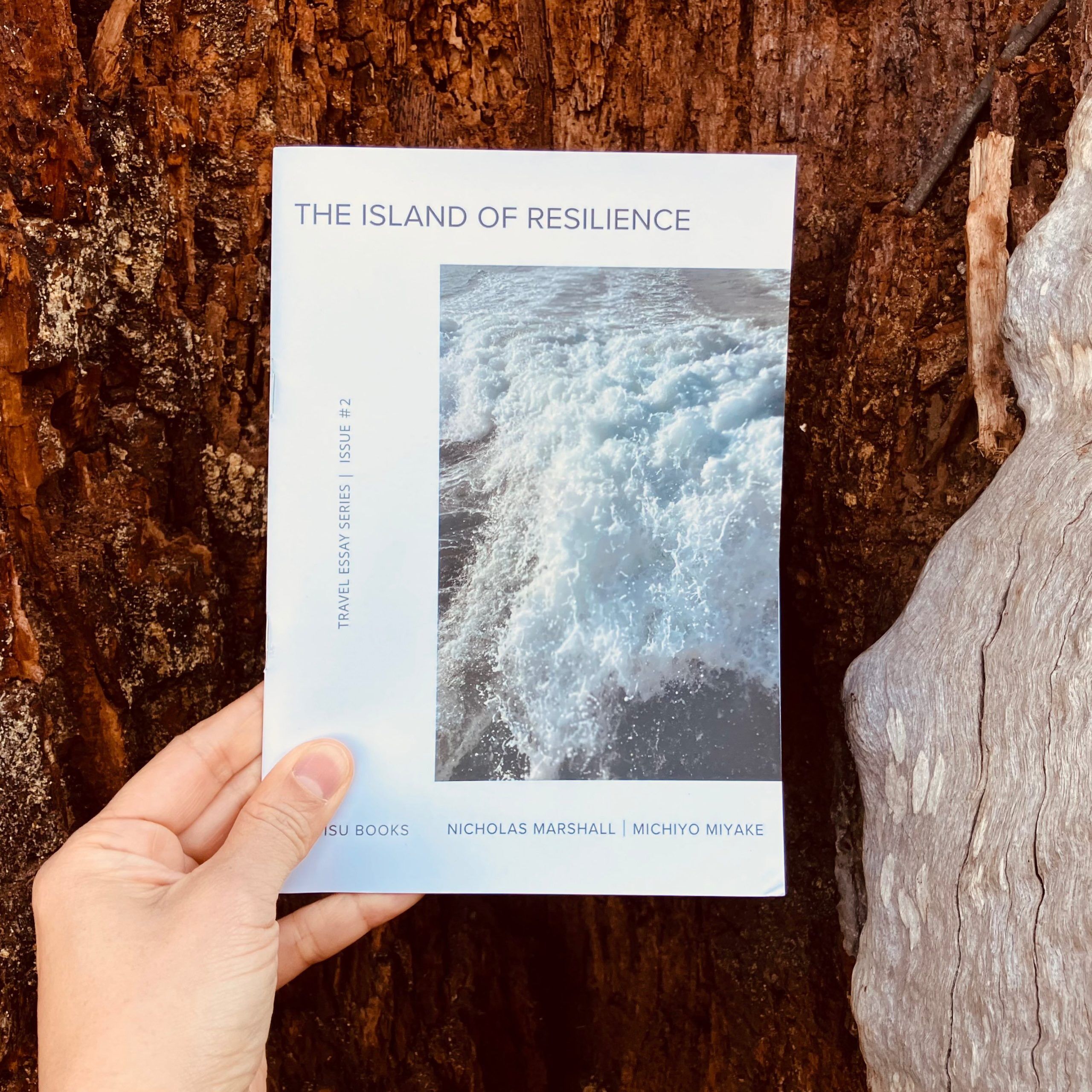 The Island of Resilience held against a tree