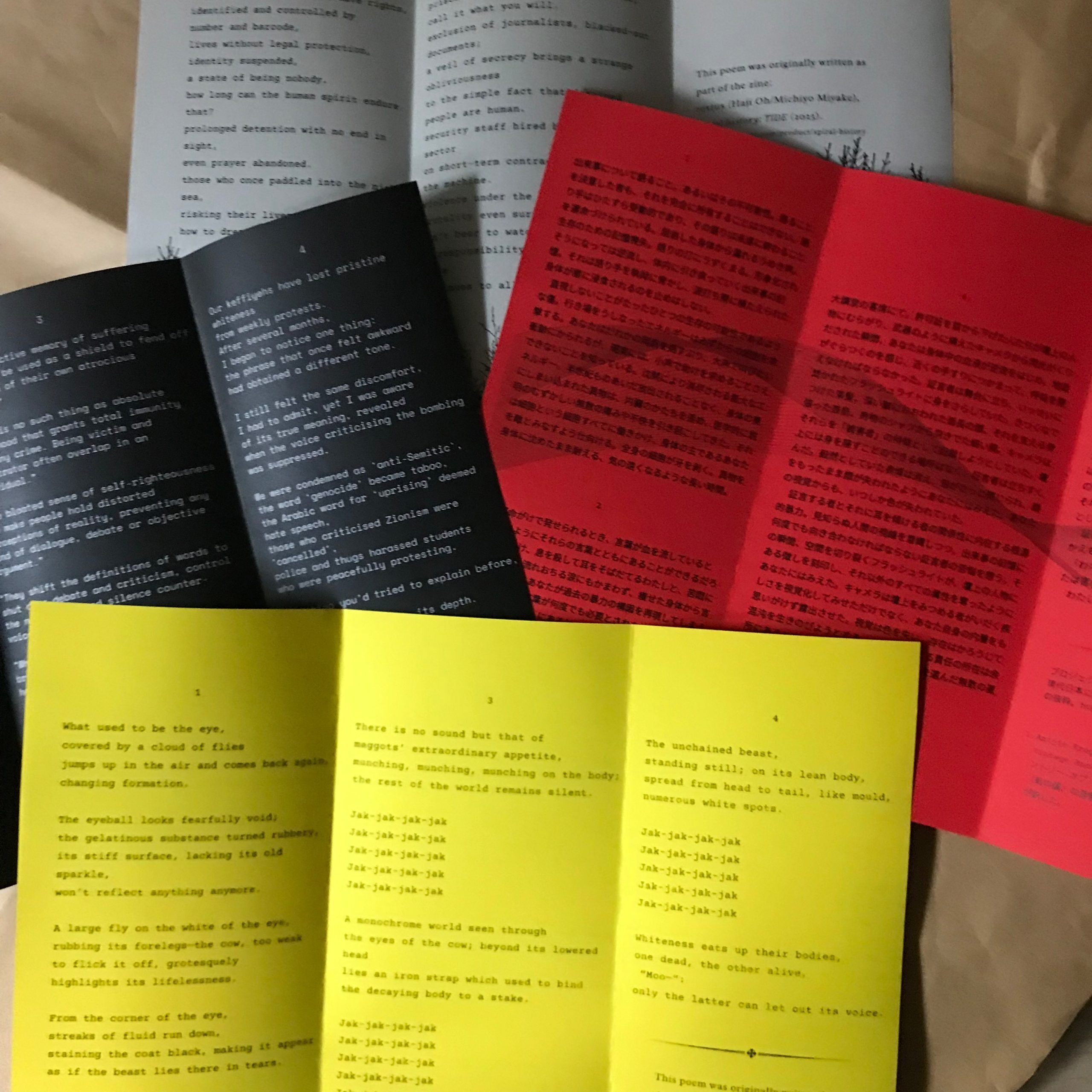 Michiyo Miyake, Silent Witness in the Evacuation Zone|Poetry/Zine - Image 3