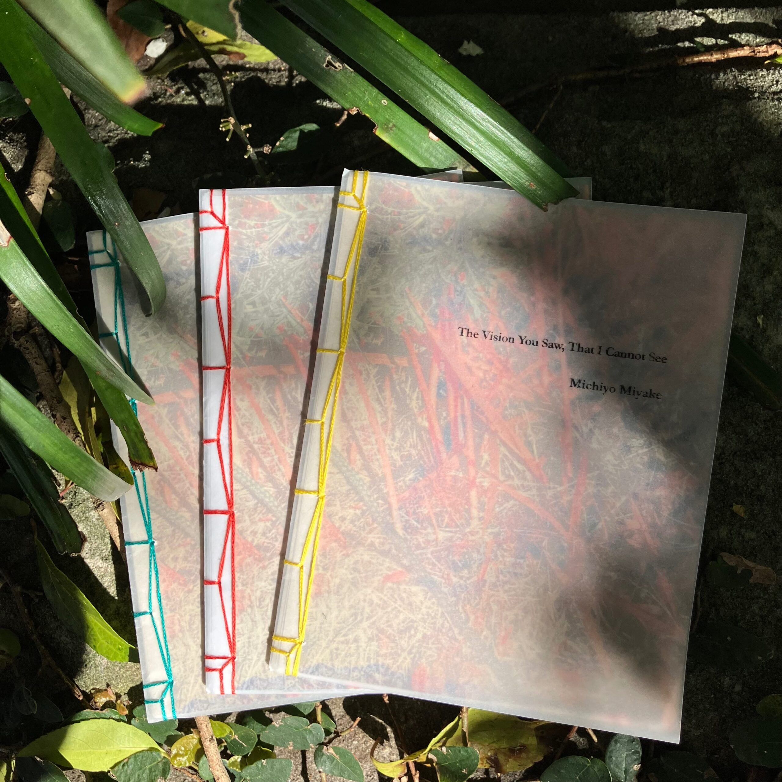 Michiyo Miyake, The Vision You Saw, That I Cannot See|stab-bound zine - Image 6