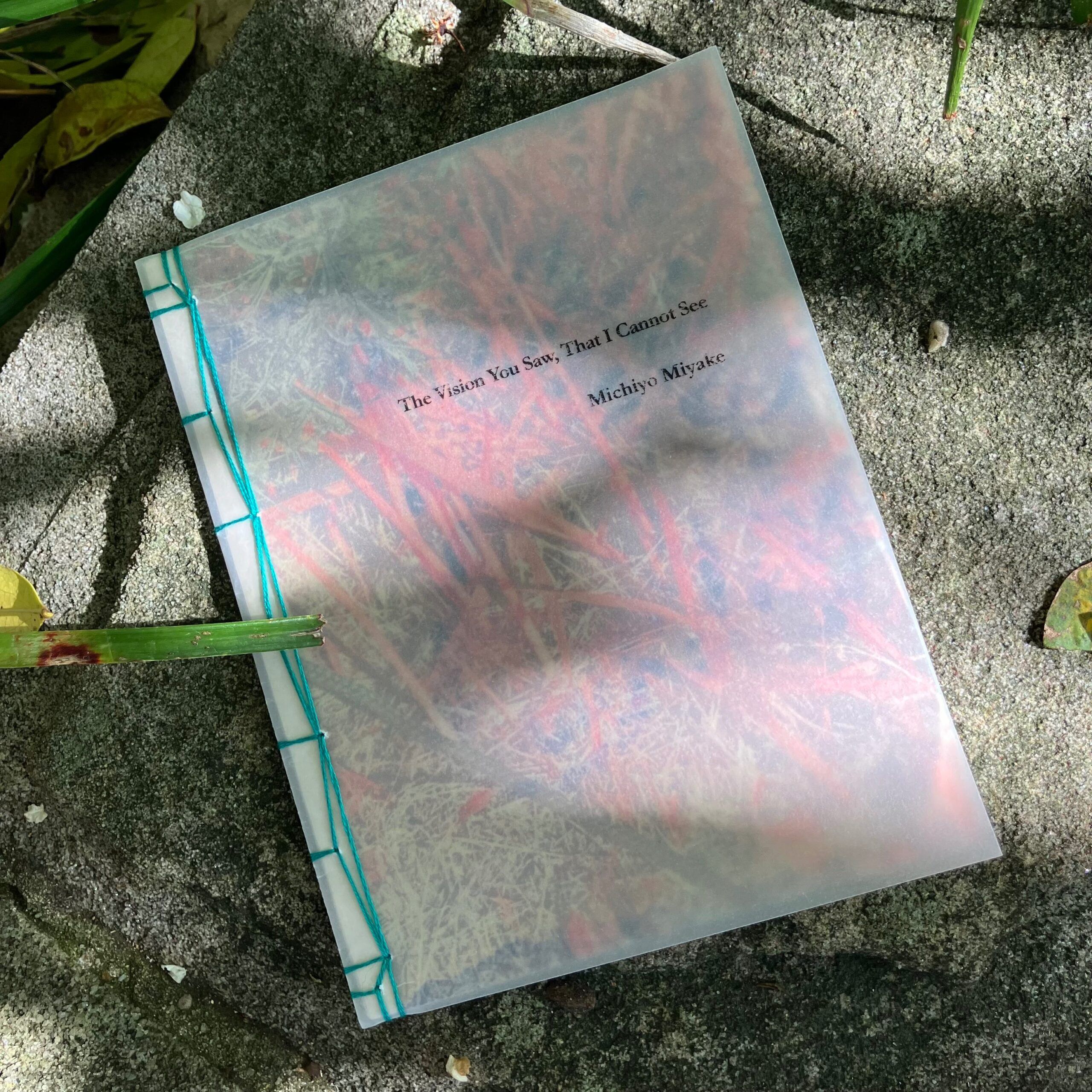 Michiyo Miyake, The Vision You Saw, That I Cannot See|stab-bound zine - Image 5
