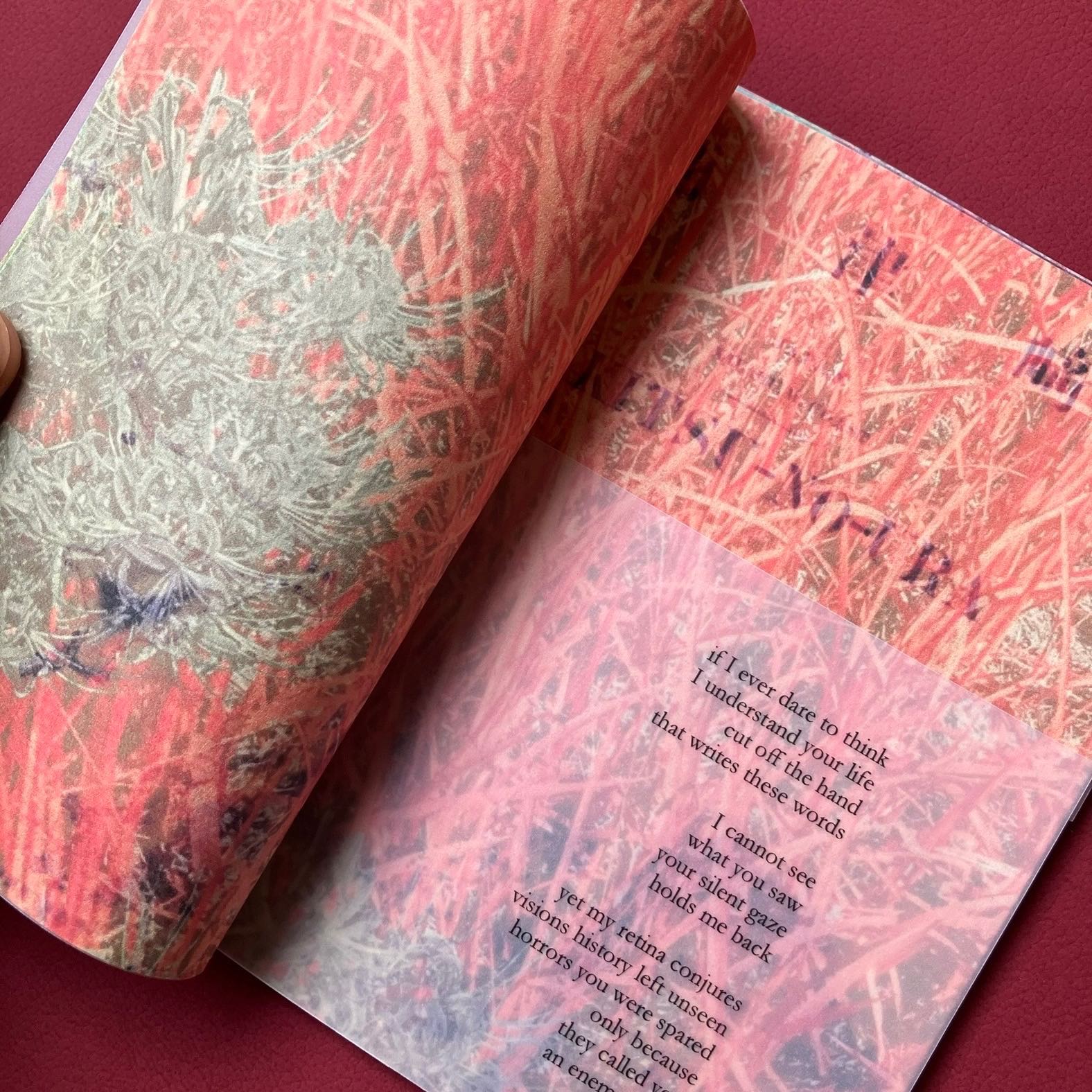 Michiyo Miyake, The Vision You Saw, That I Cannot See|stab-bound zine - Image 2