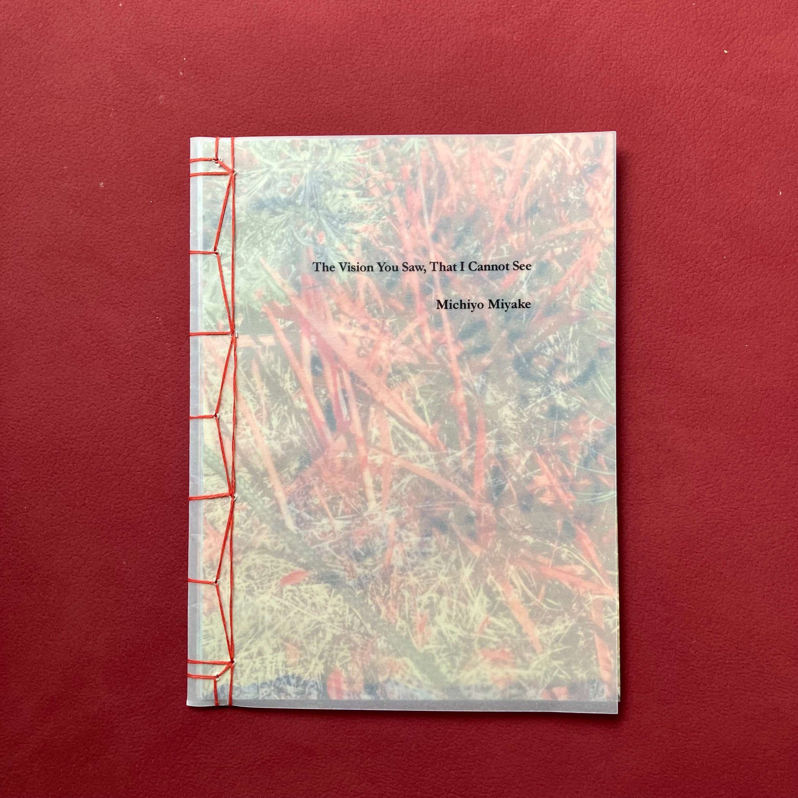 Michiyo Miyake, The Vision You Saw, That I Cannot See|stab-bound zine